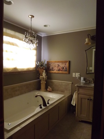 2013 Oak Forest Dr, Morris, IL 60450 photo 10