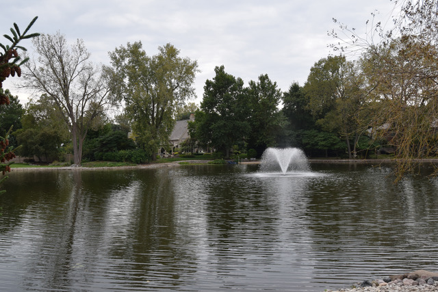 1221 Hidden Ct, Wheaton, IL 60189 photo 25