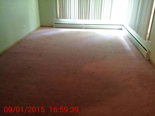 904 Mohican Dr, Algonquin, IL 60102 photo 2