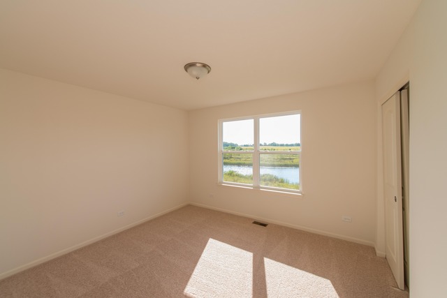 4353 Rudyard Kipling Rd, Elgin, IL 60124 photo 15