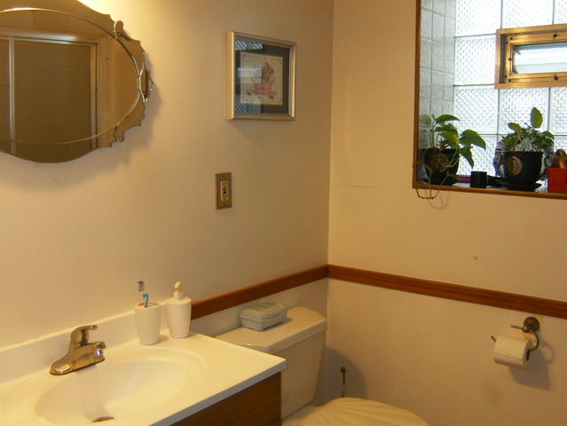 10619 S Avenue J, Chicago, IL 60617 photo 21