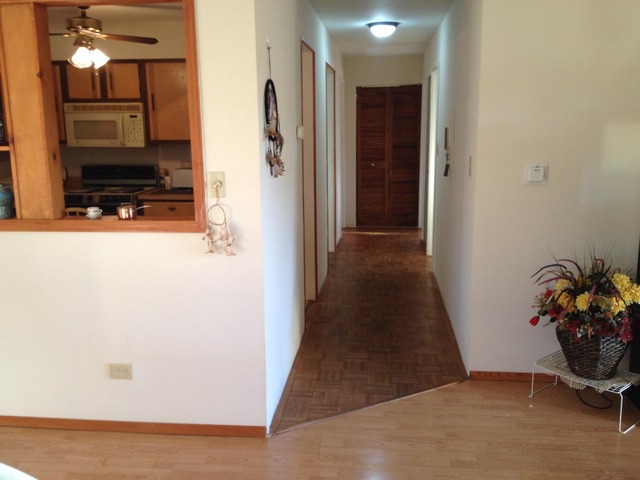 6600 S Brainard Ave #304, La Grange, IL 60525 photo 10