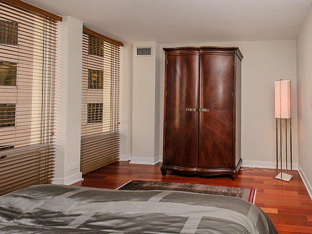 100 E Walton St #22B, Chicago, IL 60611 photo 15