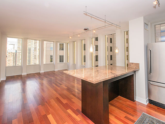 100 E Walton St #22B, Chicago, IL 60611 photo 5