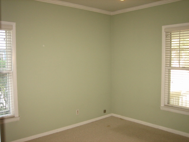 429 Lyon Ave, Wheaton, IL 60187 photo 12