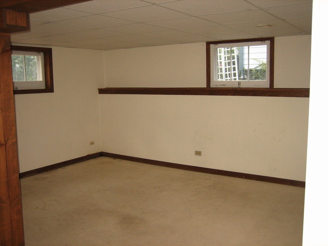429 Lyon Ave, Wheaton, IL 60187 photo 20
