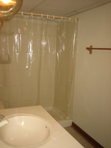429 Lyon Ave, Wheaton, IL 60187 photo 22