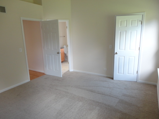 1195 Spring Creek Rd, Elgin, IL 60120 photo 7