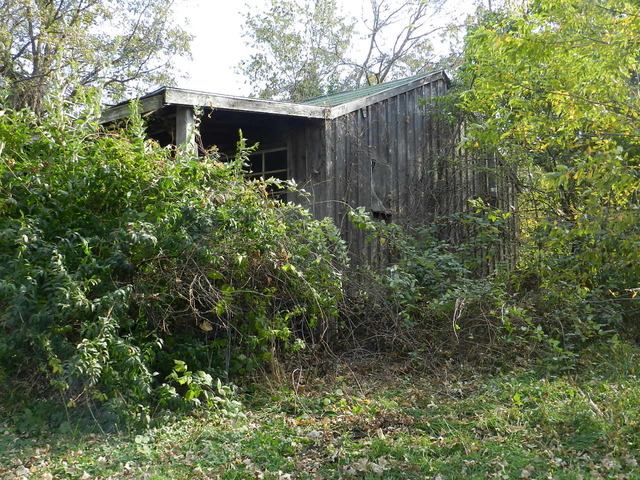 500 E Oak Grove Rd, Leaf River, IL 61047 photo 22