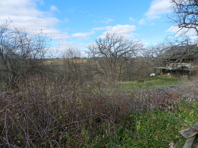 500 E Oak Grove Rd, Leaf River, IL 61047 photo 14