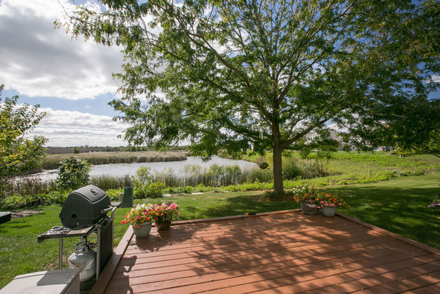 4024 Oak Tree Ln, Plainfield, IL 60586 photo 17