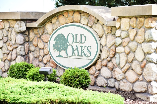 4024 Oak Tree Ln, Plainfield, IL 60586 photo 20