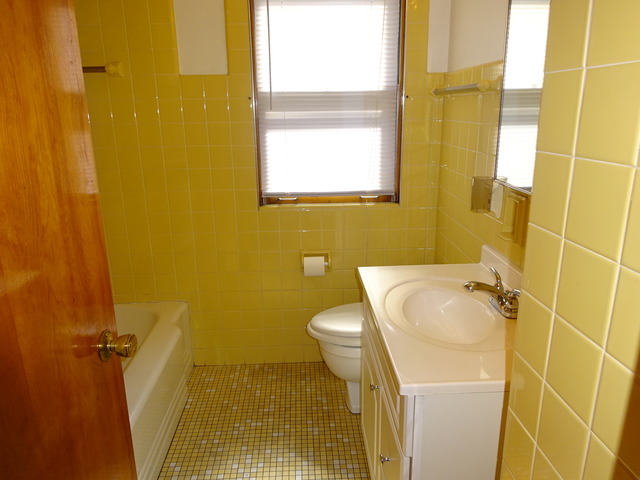 4443 S Keeler Ave, Chicago, IL 60632 photo 11