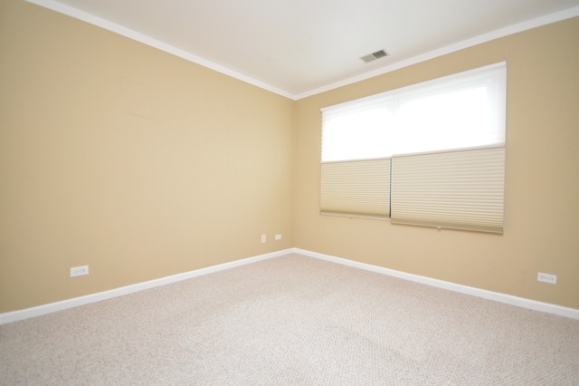 1905 Olde Mill Rd, Plainfield, IL 60586 photo 15