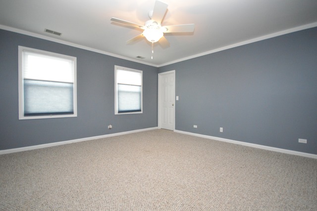 1905 Olde Mill Rd, Plainfield, IL 60586 photo 13