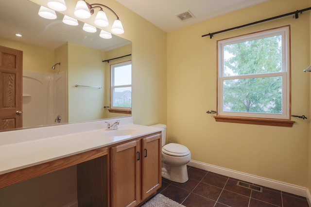 14611 Independence Dr, Plainfield, IL 60544 photo 22