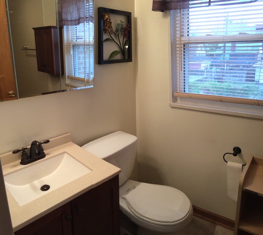 17641 Walter St, Lansing, IL 60438 photo 10