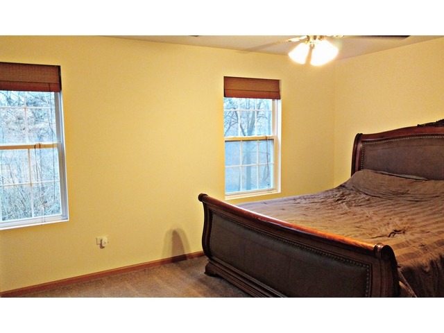 4159 Oak Tree Ln, Plainfield, IL 60586 photo 8