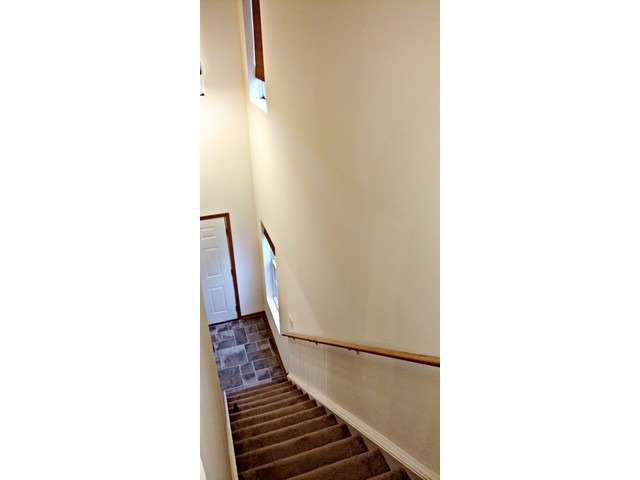 4159 Oak Tree Ln, Plainfield, IL 60586 photo 6