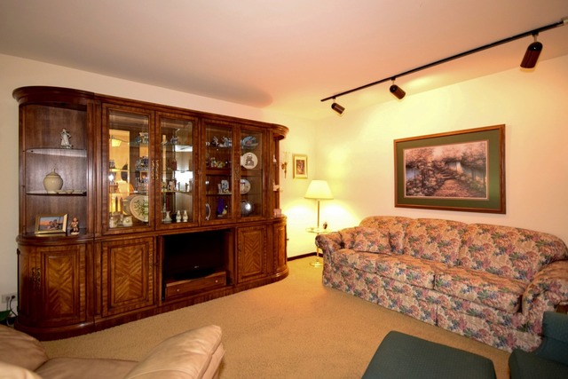 227 S Circle Dr, Addison, IL 60101 photo 5