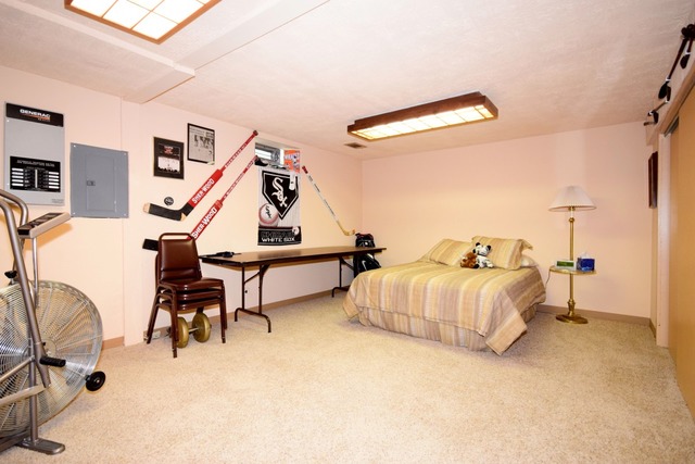 227 S Circle Dr, Addison, IL 60101 photo 20