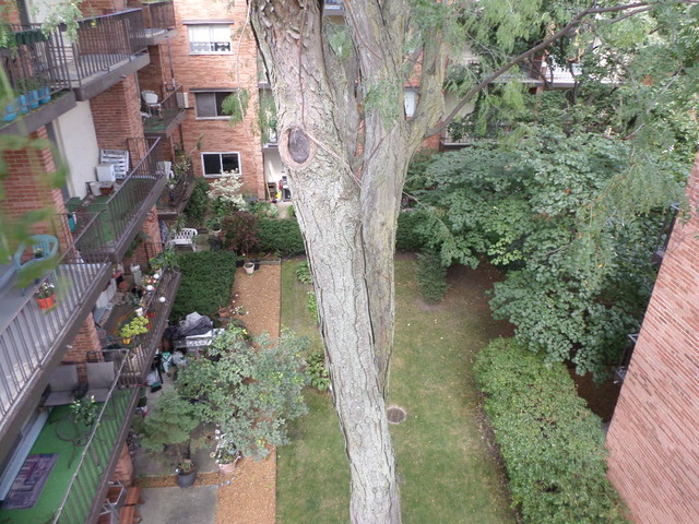 6950 N Bell Ave #403, Chicago, IL 60645 photo 10