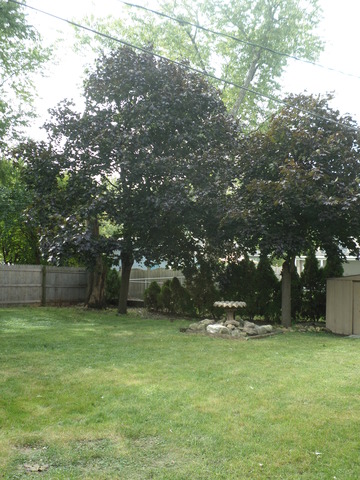 103 Stadium Dr, Joliet, IL 60435 photo 22