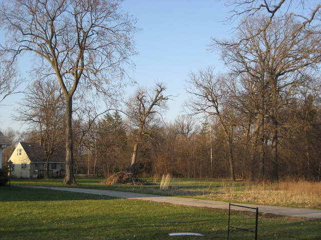 980 E Crest Ave, Addison, IL 60101 photo 19