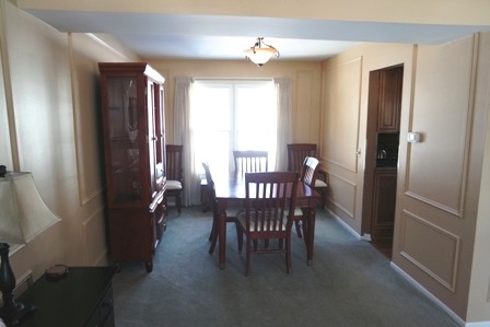 325 Terrace Dr, Bartlett, IL 60103 photo 3