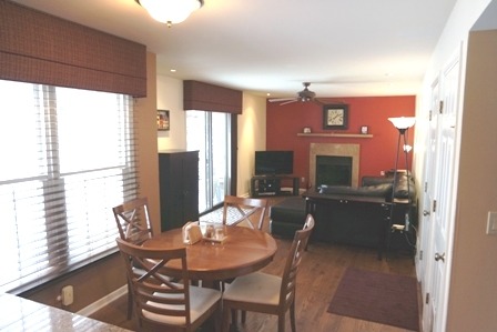 325 Terrace Dr, Bartlett, IL 60103 photo 8
