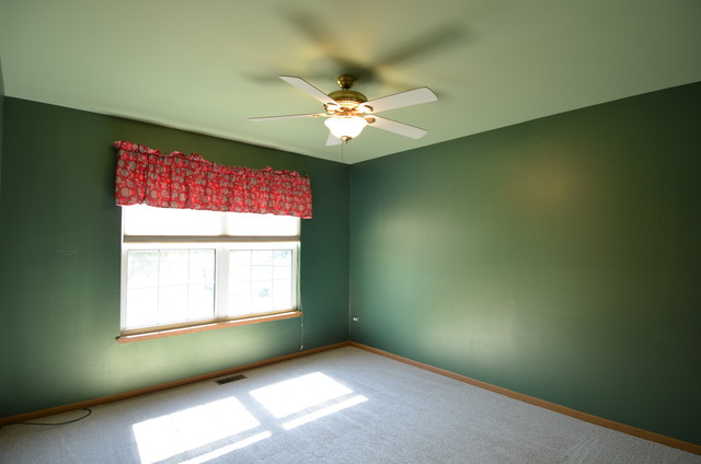4669 W Crocus Ave, Monee, IL 60449 photo 11