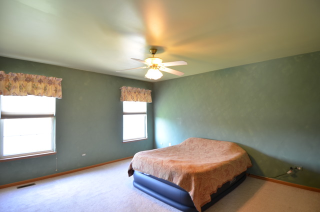4669 W Crocus Ave, Monee, IL 60449 photo 8