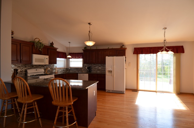 4669 W Crocus Ave, Monee, IL 60449 photo 4