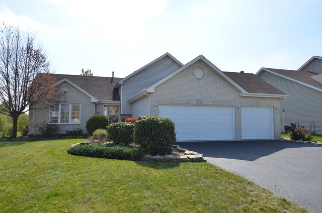 4669 W Crocus Ave, Monee, IL 60449 photo 1