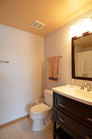 4669 W Crocus Ave, Monee, IL 60449 photo 7
