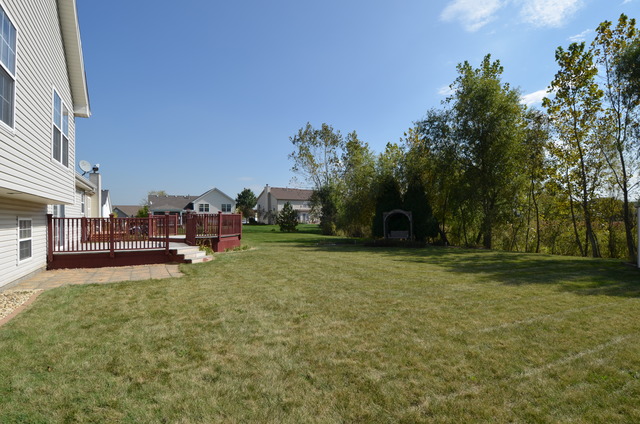 4669 W Crocus Ave, Monee, IL 60449 photo 13