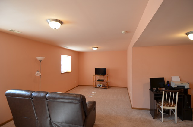 4669 W Crocus Ave, Monee, IL 60449 photo 6