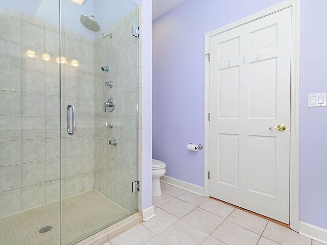 347 Thatcher Ave, River Forest, IL 60305 photo 18