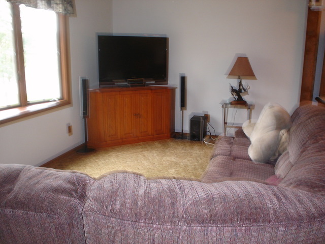 8032 Fox River Dr, Millbrook, IL 60536 photo 4