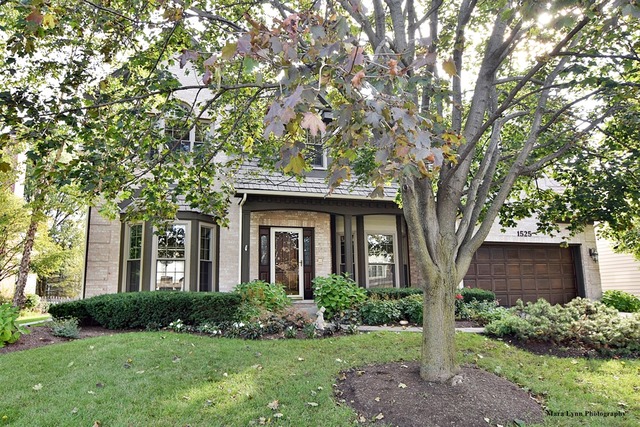 1525 Spero Ct, Wheaton, IL 60187 photo 1