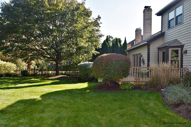 1525 Spero Ct, Wheaton, IL 60187 photo 23