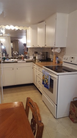 100 Deborah Ln #2a, Wheeling, IL 60090 photo 6