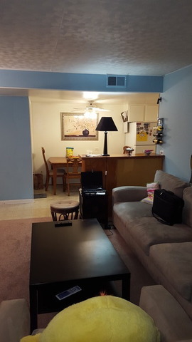 100 Deborah Ln #2a, Wheeling, IL 60090 photo 4
