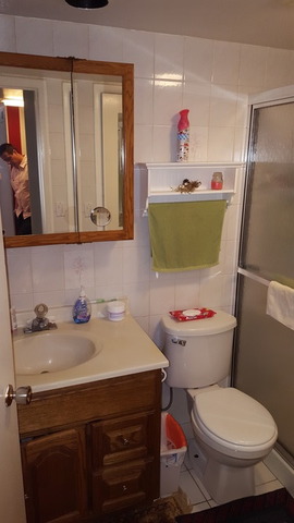 100 Deborah Ln #2a, Wheeling, IL 60090 photo 10
