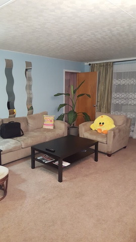 100 Deborah Ln #2a, Wheeling, IL 60090 photo 2