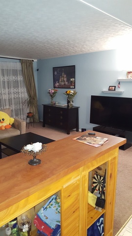 100 Deborah Ln #2a, Wheeling, IL 60090 photo 3