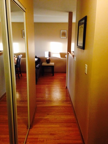 4600 N Cumberland Ave #204, Chicago, IL 60656 photo 6