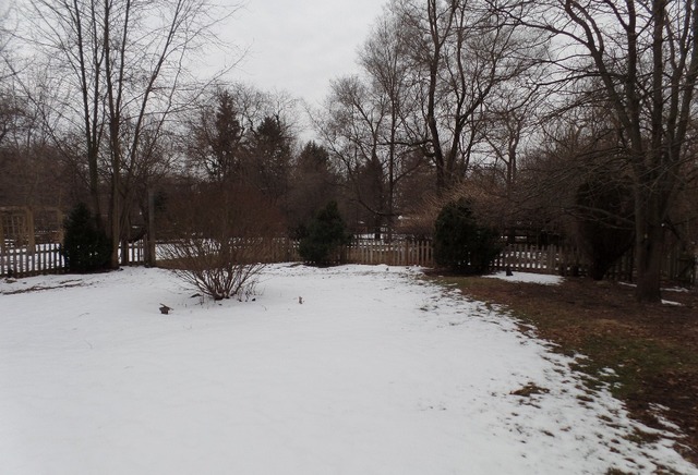 8920 S Elm Ave, Willowbrook, IL 60527 photo 13