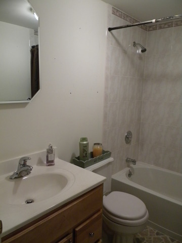 7233 W James Ln, Monee, IL 60449 photo 11