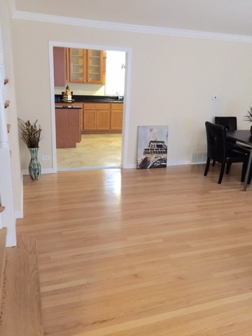224 E 90th St, Chicago, IL 60619 photo 3